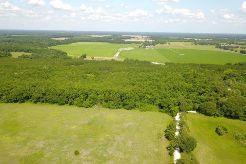 Terrain à vendre à Mayo, Floride № 2313276 - photo 4
