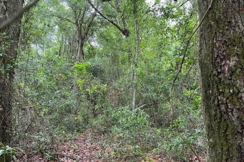 Terrain à vendre à Mayo, Floride № 2313276 - photo 5