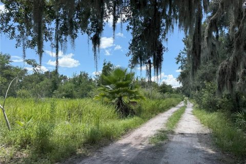 Land in Plant City, Florida № 1884665 - photo 1