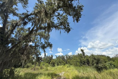 Land in Plant City, Florida № 1884665 - photo 5