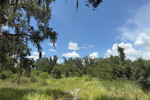 Land in Plant City, Florida № 1884665 - photo 4