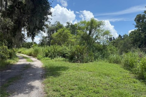 Land in Plant City, Florida № 1884665 - photo 3