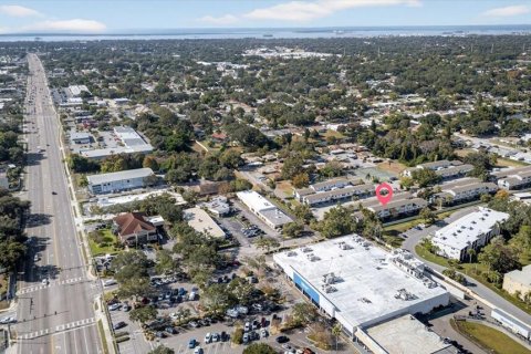 Condo in Dunedin, Florida, 4 bedrooms № 2217773 - photo 5