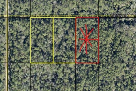 Land in Hastings, Florida № 2360432