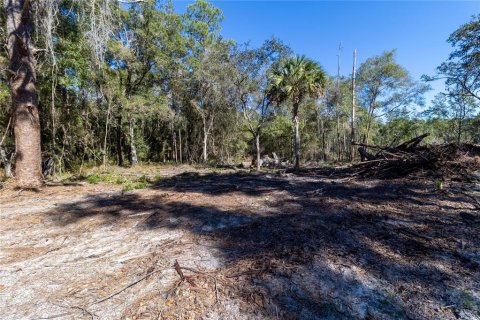 Casa en venta en Silver Springs Shores, Florida, 3 dormitorios, 151.24 m2 № 2206350 - foto 15