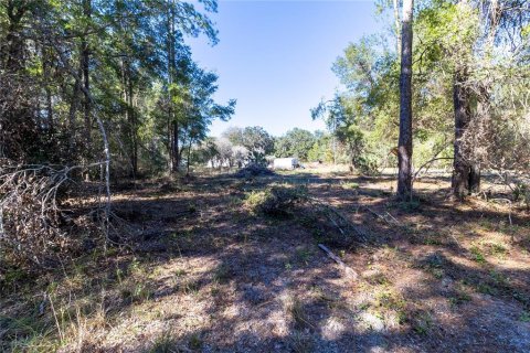 Casa en venta en Silver Springs Shores, Florida, 3 dormitorios, 151.24 m2 № 2206350 - foto 18