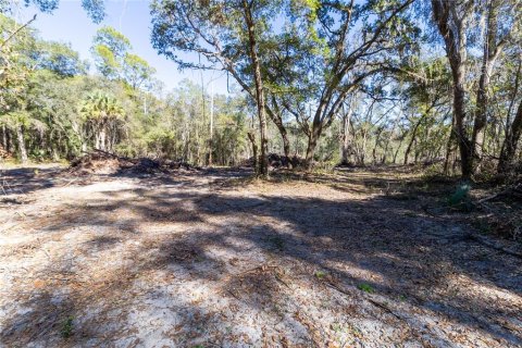 Casa en venta en Silver Springs Shores, Florida, 3 dormitorios, 151.24 m2 № 2206350 - foto 17