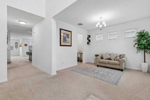 House in Tampa, Florida 5 bedrooms, 331.29 sq.m. № 2124638 - photo 8