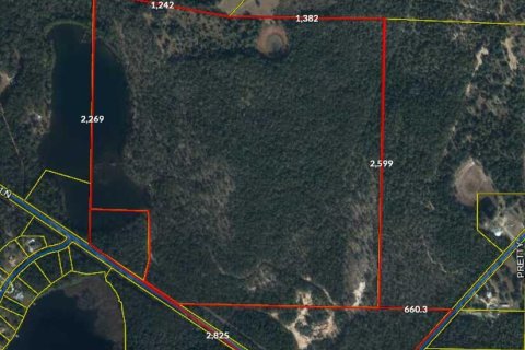 Commercial property in De Funiak Springs, Florida № 558932 - photo 1
