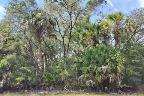 Land in Crystal River, Florida № 2162641 - photo 13