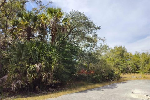 Land in Crystal River, Florida № 2162641 - photo 12