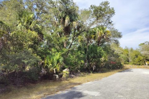 Land in Crystal River, Florida № 2162641 - photo 22