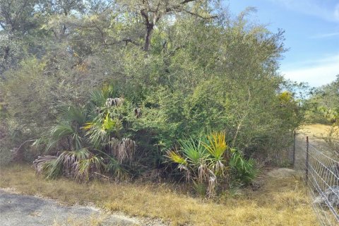Land in Crystal River, Florida № 2162641 - photo 23