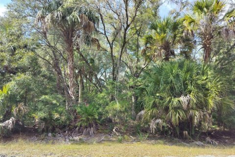 Land in Crystal River, Florida № 2162641 - photo 2
