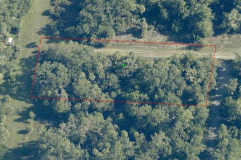 Land in Crystal River, Florida № 2162641 - photo 4