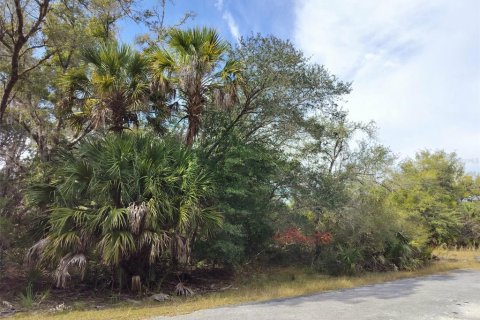 Land in Crystal River, Florida № 2162641 - photo 20