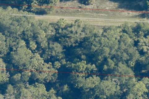 Land in Crystal River, Florida № 2162641 - photo 3