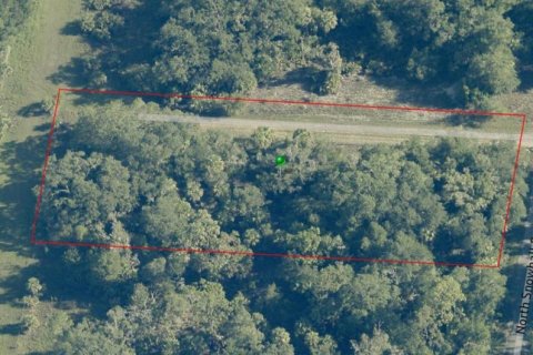 Land in Crystal River, Florida № 2162641 - photo 10