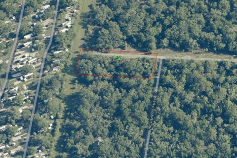 Land in Crystal River, Florida № 2162641 - photo 9