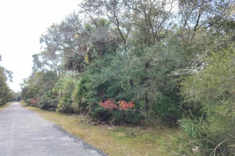 Land in Crystal River, Florida № 2162641 - photo 14