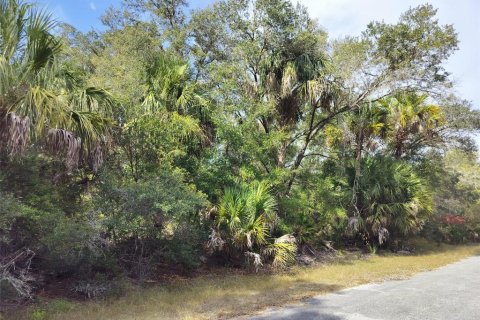 Land in Crystal River, Florida № 2162641 - photo 16