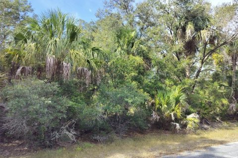Land in Crystal River, Florida № 2162641 - photo 21