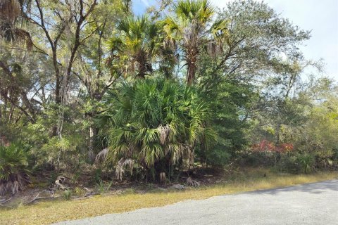 Land in Crystal River, Florida № 2162641 - photo 18