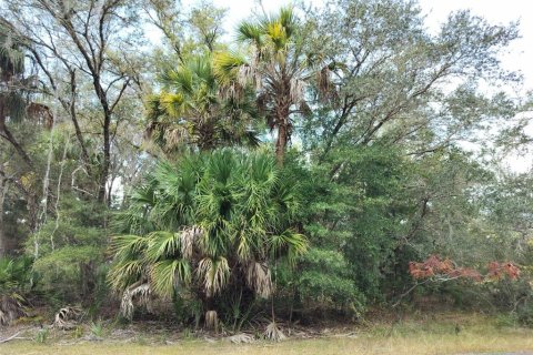 Land in Crystal River, Florida № 2162641