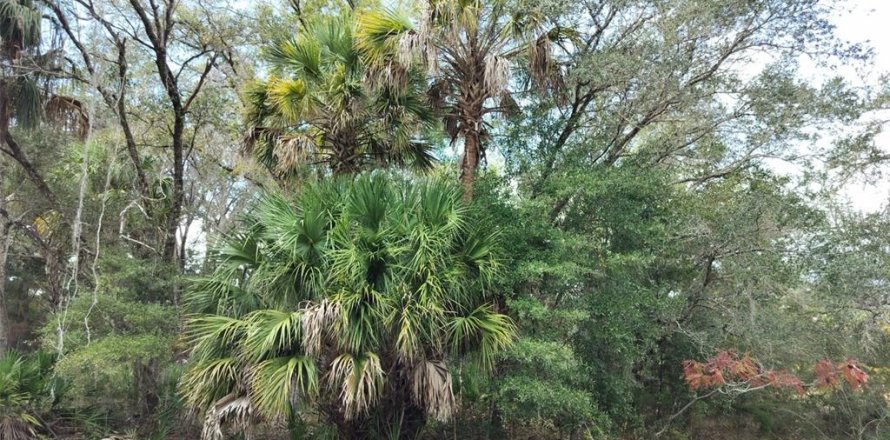 Land in Crystal River, Florida № 2162641