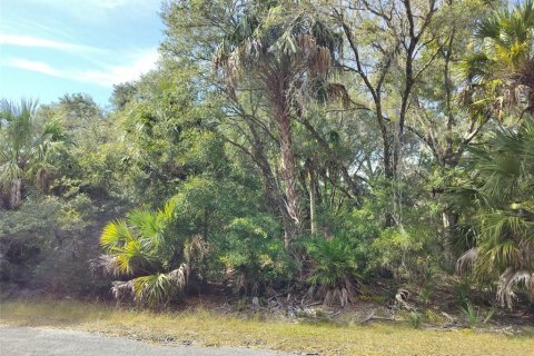 Land in Crystal River, Florida № 2162641 - photo 11