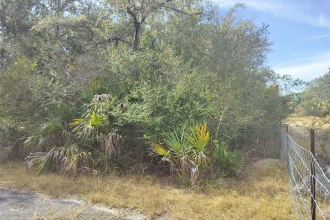 Land in Crystal River, Florida № 2162641 - photo 15