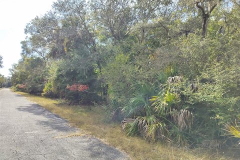 Land in Crystal River, Florida № 2162641 - photo 17