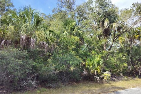 Land in Crystal River, Florida № 2162641 - photo 19