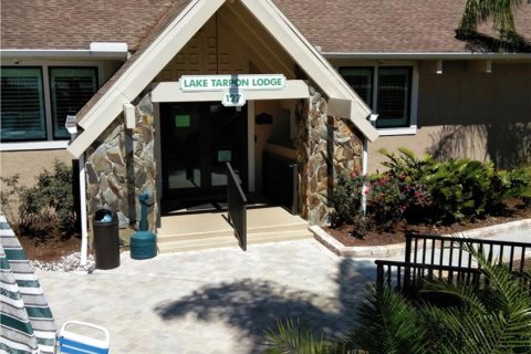Condo in Palm Harbor, Florida, 1 bedroom  № 1670887 - photo 30