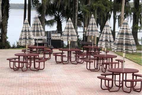 Condo in Palm Harbor, Florida, 1 bedroom  № 1670887 - photo 29