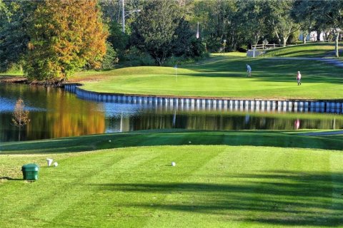 Condo in Palm Harbor, Florida, 1 bedroom  № 1670887 - photo 21