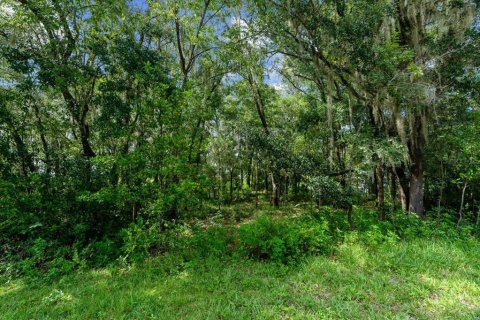 Terrain à vendre à Dunnellon, Floride № 1880553 - photo 10