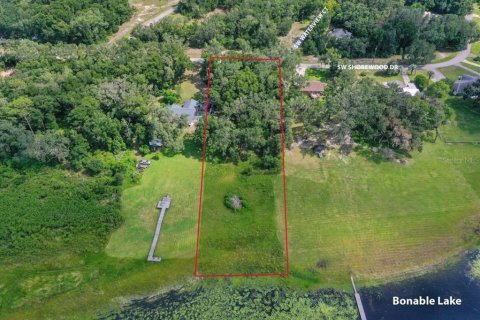 Terrain à vendre à Dunnellon, Floride № 1880553 - photo 4