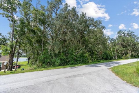 Land in Dunnellon, Florida № 1880553 - photo 8