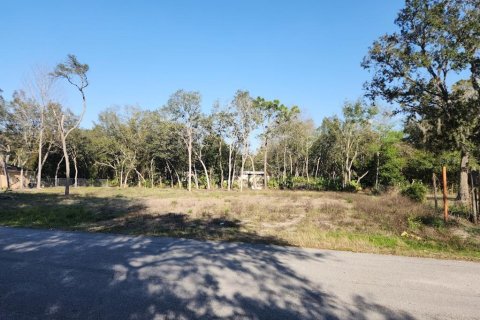 Terrain à vendre à Ocala, Floride № 1529512 - photo 1