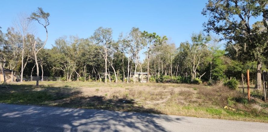 Terrain à Ocala, Floride № 1529512