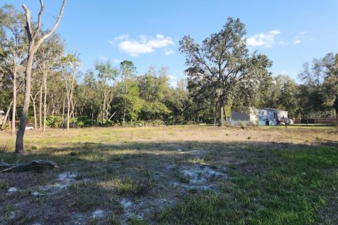 Terrain à vendre à Ocala, Floride № 1529512 - photo 5