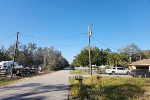 Terrain à vendre à Ocala, Floride № 1529512 - photo 4