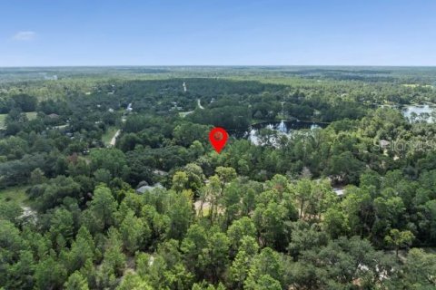 Land in Paisley, Florida № 1851631 - photo 3