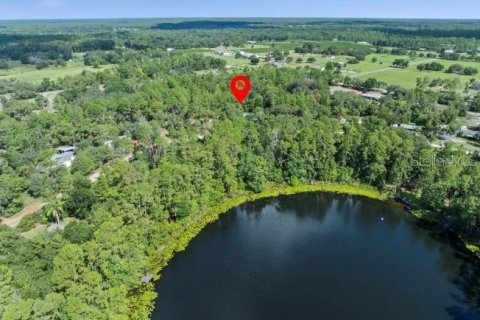 Land in Paisley, Florida № 1851631 - photo 5
