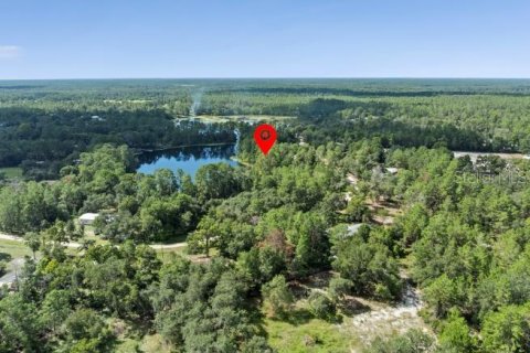 Land in Paisley, Florida № 1851631 - photo 2