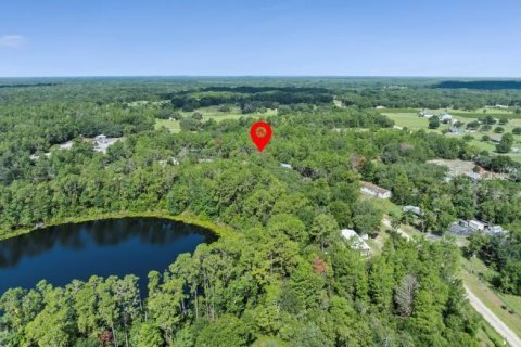 Land in Paisley, Florida № 1851631 - photo 6