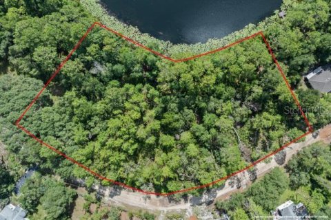 Land in Paisley, Florida № 1851631 - photo 1