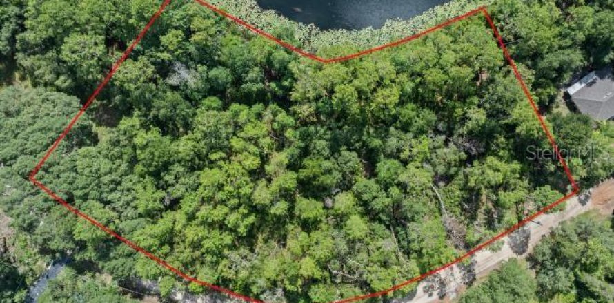 Land in Paisley, Florida № 1851631