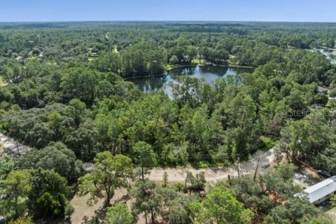 Land in Paisley, Florida № 1851631 - photo 4